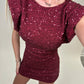 Burgundy Sequin tie back mini dress